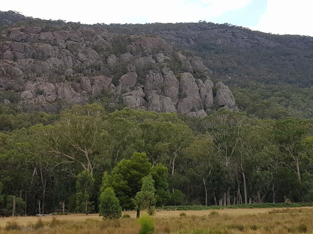 Berg achter de camping