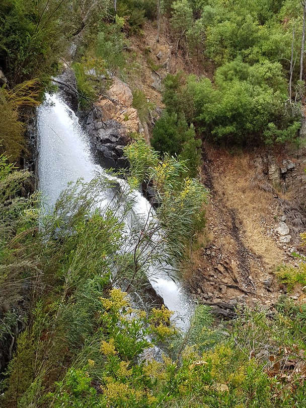 Mac Kenzie falls