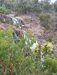 Mac Kenzie falls