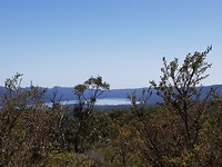Reeds lookout