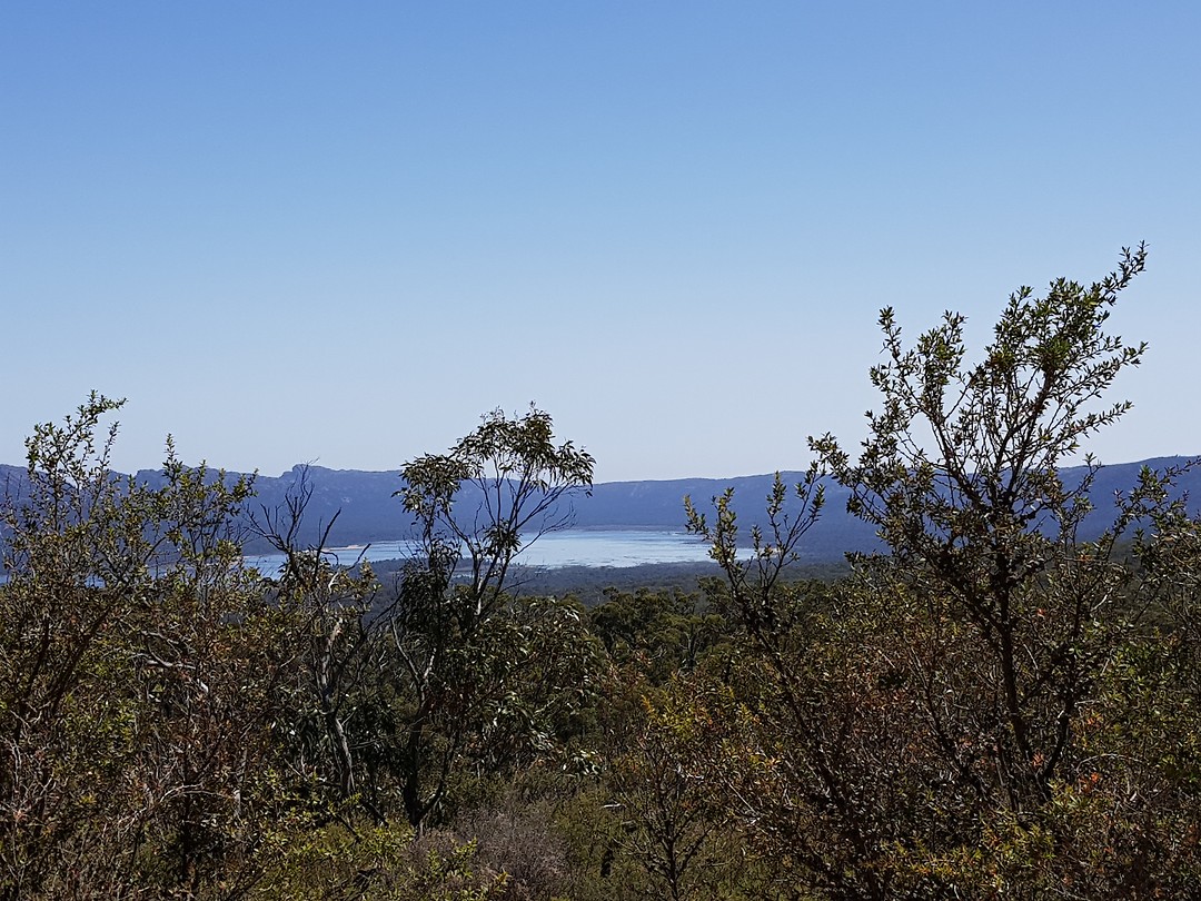 Reeds lookout