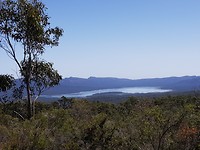 Reeds lookout