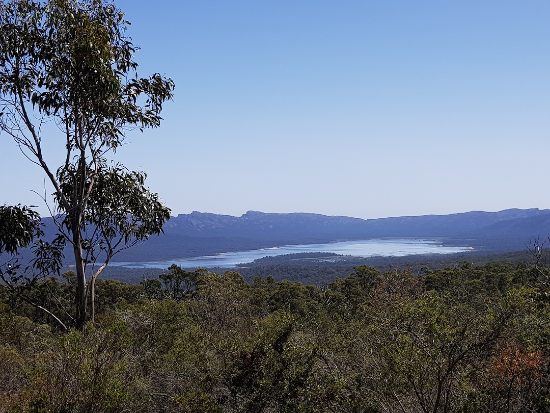 Reeds lookout