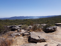 Reeds lookout
