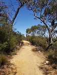 Reeds lookout