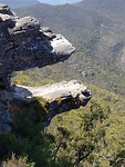 Reeds lookout