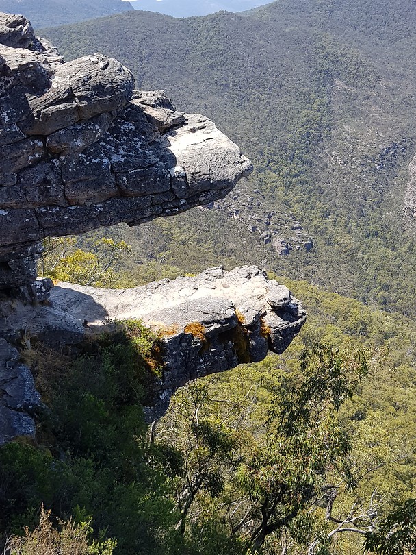 Reeds lookout