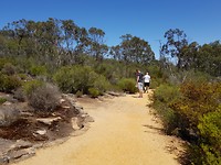 Reeds lookout