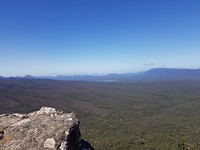 Reeds lookout