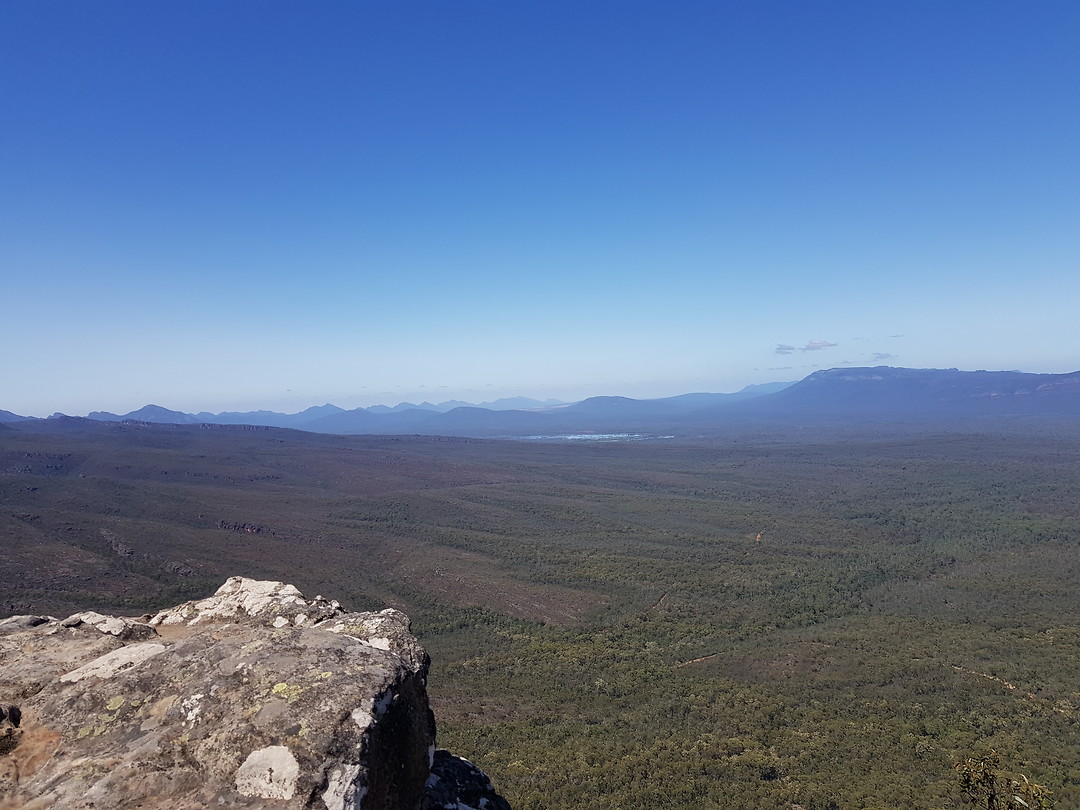 Reeds lookout