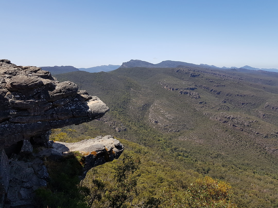Reeds lookout