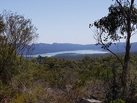 Reeds lookout