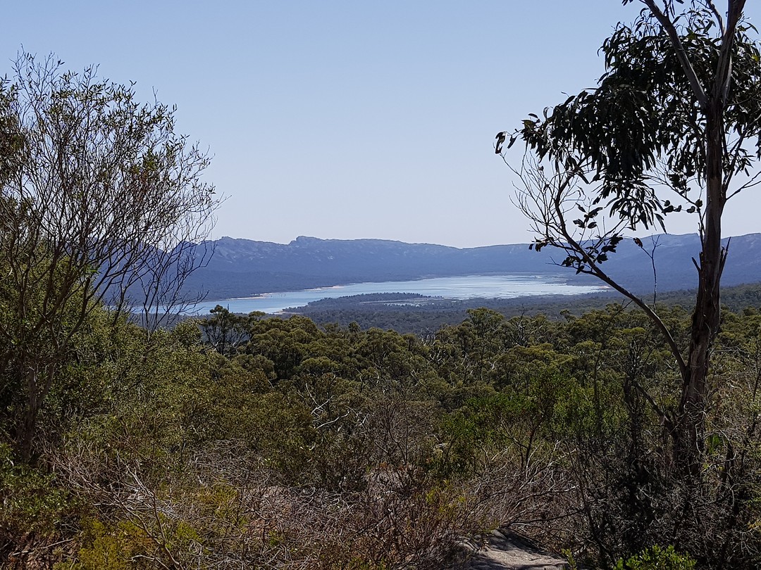 Reeds lookout