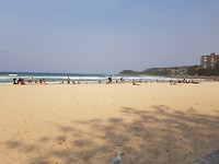 Manly Beach