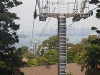 Vanuit de gondel, Taronga Zoo