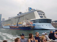 Cruiseschip, wat een joekel