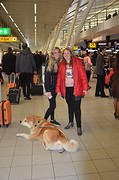 knuffel voor mama