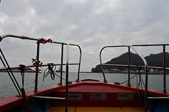 DSC_0390