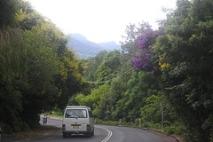 Nimbin