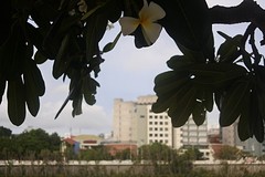 DSC_0790