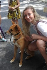 Dingoooo