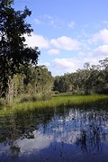 bush camp