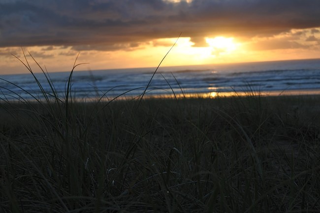 sunrise