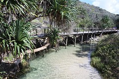 Eli creek