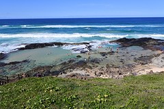 Champagne pools