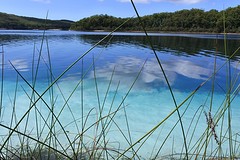 lake MC Kenzie