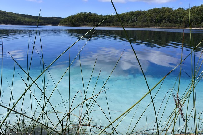 lake MC Kenzie