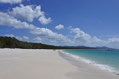 white haven beach