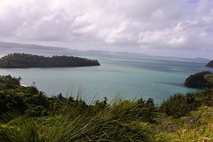 DSC_1242