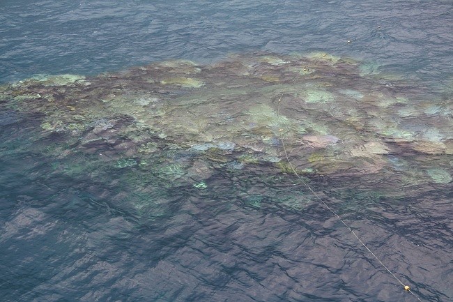 reef van bovenaf