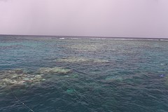 reef van bovenaf