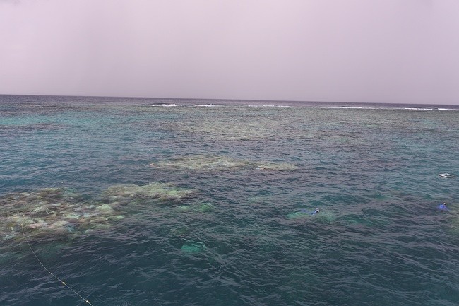 reef van bovenaf