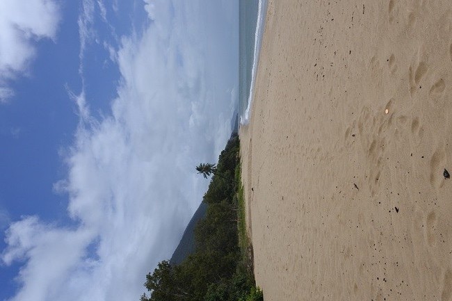 strand onderweg naar port douglas