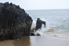 strand onderweg naar port douglas