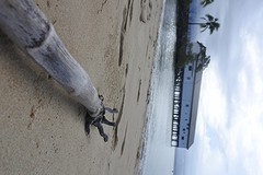Port douglas