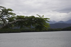 Port douglas