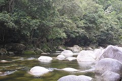 Mossman