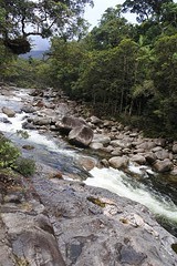 Mossman
