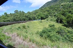 vanuit de trein