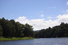 van uit de boot