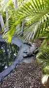 Australia zoo