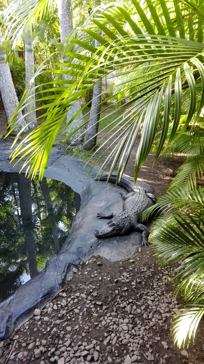 Australia zoo
