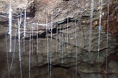 PA070046