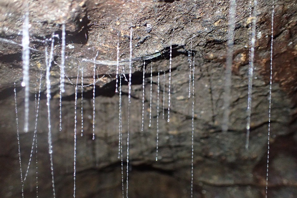 PA070046