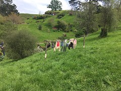 IMG_3290[1]