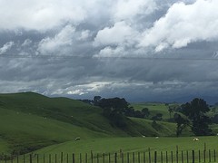 IMG_3256
